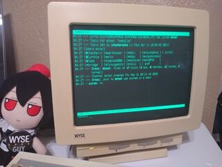 cirno connecting on a wyse terminal